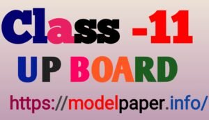 class 11 up board model paper 2024